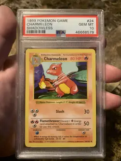 1999 Pokemon Base Set Charmeleon - Shadowless - PSA 10 24/102 - (Vintage) - Image 1