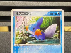 Mudkip Pokemon Card Japanese 005/ADV-P 019/ADV-P McDonald's 7-ELEVEN's Promo - Image 4