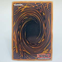 Yugioh Ghost Sister & Spooky Dogwood MAGO-EN013 1st Edition Gold Rare - NM💎 - Image 2