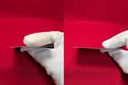 EX Munchlax 125/DP-P Domino's Pizza Promo 2008 Holo Pokemon Card Japanese - Image 3