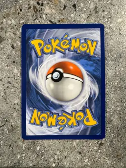 Pokemon TCG Cards Scorbunny SWSH244 Black Star Promo Holo - Image 2