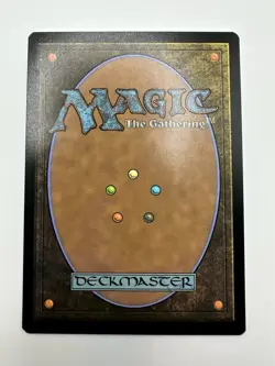 MTG Mirror Room Fractured Realm (Borderless) Duskmourn: House of Horror Regular - Image 5