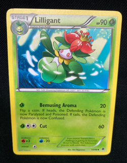Lilligant 14/98 B&W Emerging Powers Pokemon Card (NM/LP) - Image 1
