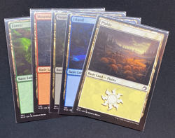 MTG – Innistrad: Midnight Hunt – Complete Set + Bonus Extras – Non-Foil - NM - Image 5