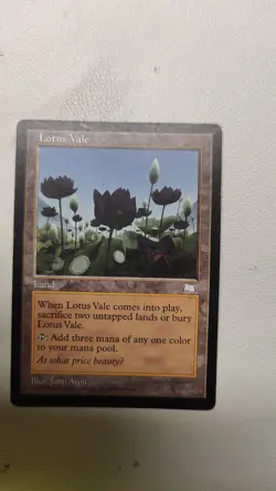 Lotus Vale Weatherlight Regular - Image 1