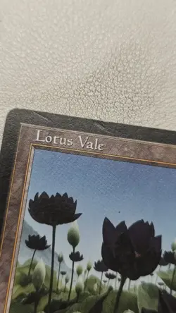 Lotus Vale Weatherlight Regular - Image 3