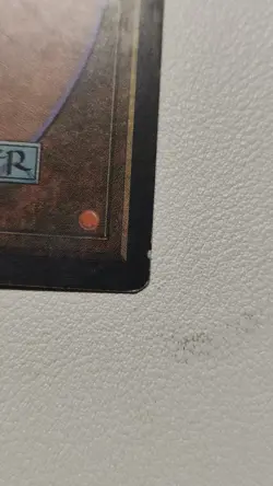 Lotus Vale Weatherlight Regular - Image 5