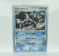 Pokemon 2010 World Championship Decks Gyarados - 19/100 - DP Stormfront - LP - Image 1
