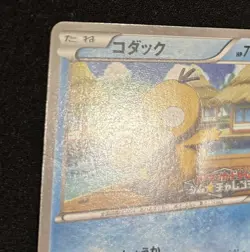 Pokemon Card Psyduck 167/BW-P Gym Challenge Promo Japanese - Image 2