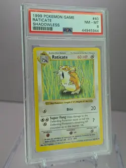 1999 Raticate Shadowless #40 PSA 8 NM-Mint Base Set WOTC Pokemon - Image 1