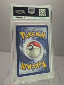1999 Raticate Shadowless #40 PSA 8 NM-Mint Base Set WOTC Pokemon - Image 2