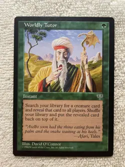 worldly tutor - Image 1