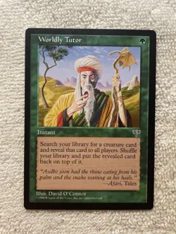 worldly tutor - Image 2