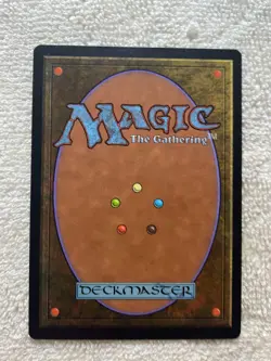 worldly tutor - Image 5