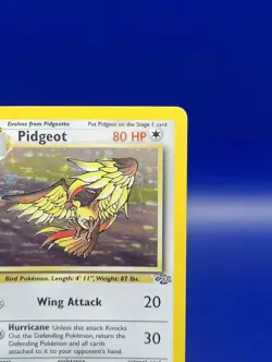 Pidgeot 8/64 Jungle Set Holo Rare Pokemon Card Nintendo Pokemon TCG WOTC 1999 LP - Image 5