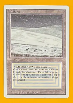 MTG TUNDRA Revised (OldManMTG 013-236) - Image 1