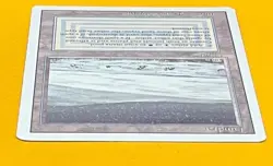 MTG TUNDRA Revised (OldManMTG 013-236) - Image 3