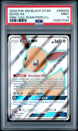 2020 Pokemon Sm Black Star Promo #SM242 Eevee Gx PSA 9 - Image 1