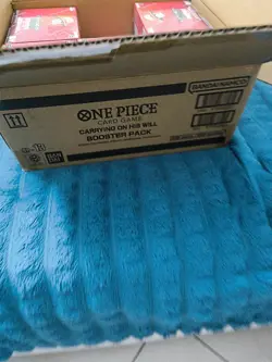 ONE PIECE Booster Box OP-13 CARRYING ON HIS WILL - ENG English 🇬🇧 - Image 2