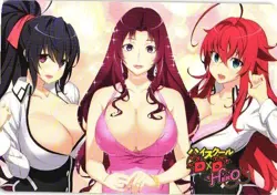 XENOVIA Holographic High School DxD Custom Art Goddess Story Anime Card - Image 2