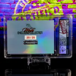 Reze Waifu Card Serial #20/25 LIMITED RELEASE Encased Custom Holo SLAB Mag CSM - Image 5