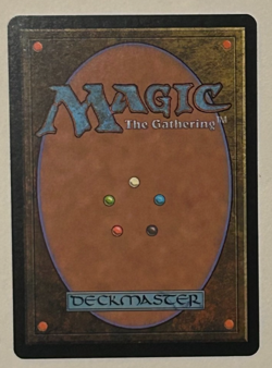 Reanimate Tempest MTG Lightly Played (LP) Magic Regular Black - Image 2