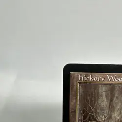 x1 Hickory Woodlot x1 MTG Mercadian Masques Magic The Gathering - Image 2