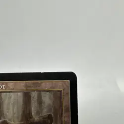 x1 Hickory Woodlot x1 MTG Mercadian Masques Magic The Gathering - Image 3