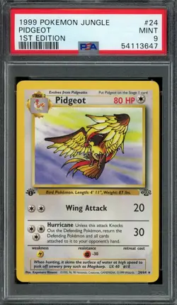 Pidgeot Pokemon 1999 Jungle 1st Edition Non Holo Rare 24/64 WOTC PSA 9 MINT - Image 1