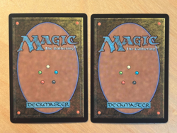 Magic the Gathering MTG 1x Sagu Wildling Showcase Foil Tarkir Dragonstorm NM - Image 2