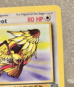 1st Edition Pidgeot Jungle 24/64 Pokemon Card WOTC Non Holo Rare Pokemon NM 1999 - Image 3