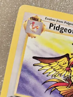 1st Edition Pidgeot Jungle 24/64 Pokemon Card WOTC Non Holo Rare Pokemon NM 1999 - Image 4