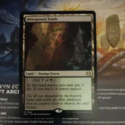 Magic the Gathering-Lorwyn Eclipsed/Overgrown Tomb 226 Regular - Image 1