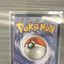 M Swampert EX XY87 XY Black Star Promo Holo Near Mint Pokemon Card - Image 5