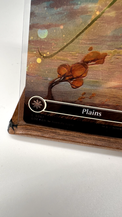 Plains (0367) (Borderless) (Galaxy Foil) Edge of Eternities Foil, Fast Shipping! - Image 4