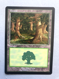 Mtg Carte Magic Euroland Forest Nottingham UK LP - Image 1