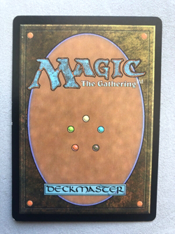 Mtg Carte Magic Euroland Forest Nottingham UK LP - Image 2