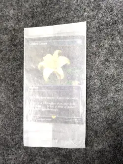 MTG: Secret Lair x Final Fantasy: Gilded Lotus Foil, Sealed in Inner Envelope - Image 2