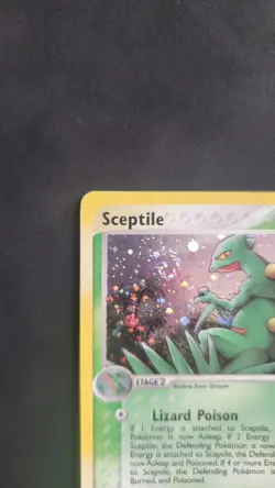 Sceptile 11/109 Ruby and Sapphire Holo - Pokemon TCG - HP/DMG - Image 2