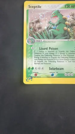 Sceptile 11/109 Ruby and Sapphire Holo - Pokemon TCG - HP/DMG - Image 5