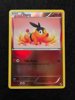 Tepig - 16/114 - Common Reverse Holo NM, English Pokemon Black and White - Image 1