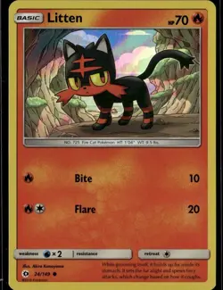 Litten - (Water Web Holo) Promo Miscellaneous Cards & Products 024/149 NM - Image 1