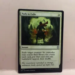 Path To Exile - N/M - Bloomburrow BLC Magic The Gathering MTG - Image 1