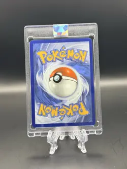 CUSTOM DISPLAY CARD Ninja Squirtles ex Edge to Edge Fractal Glass NON-TCG - Image 2