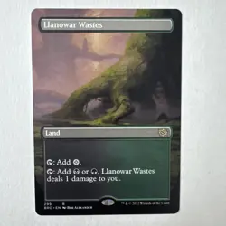 Llanowar Wastes (Borderless) The Brothers' War Regular - Image 1