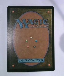 MTG Breeding Pool - Edge of Eternities EOE #0251 - Rare Shock Land - NM - Image 2