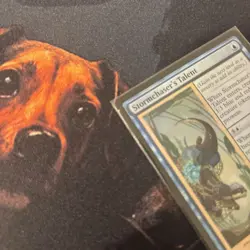 Mtg FOIL Stormchaser's Talent - Bloomburrow + Bonus Foils - Image 2