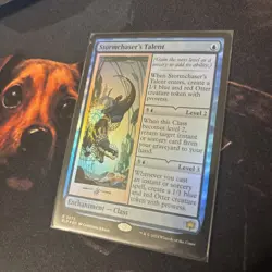 Mtg FOIL Stormchaser's Talent - Bloomburrow + Bonus Foils - Image 3