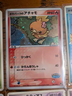 Pokepark Premium File - Forest Green Japan Pokemon - NM/LP - Image 3