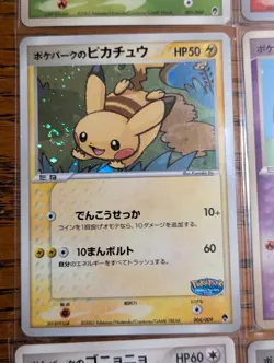 Pokepark Premium File - Forest Green Japan Pokemon - NM/LP - Image 5